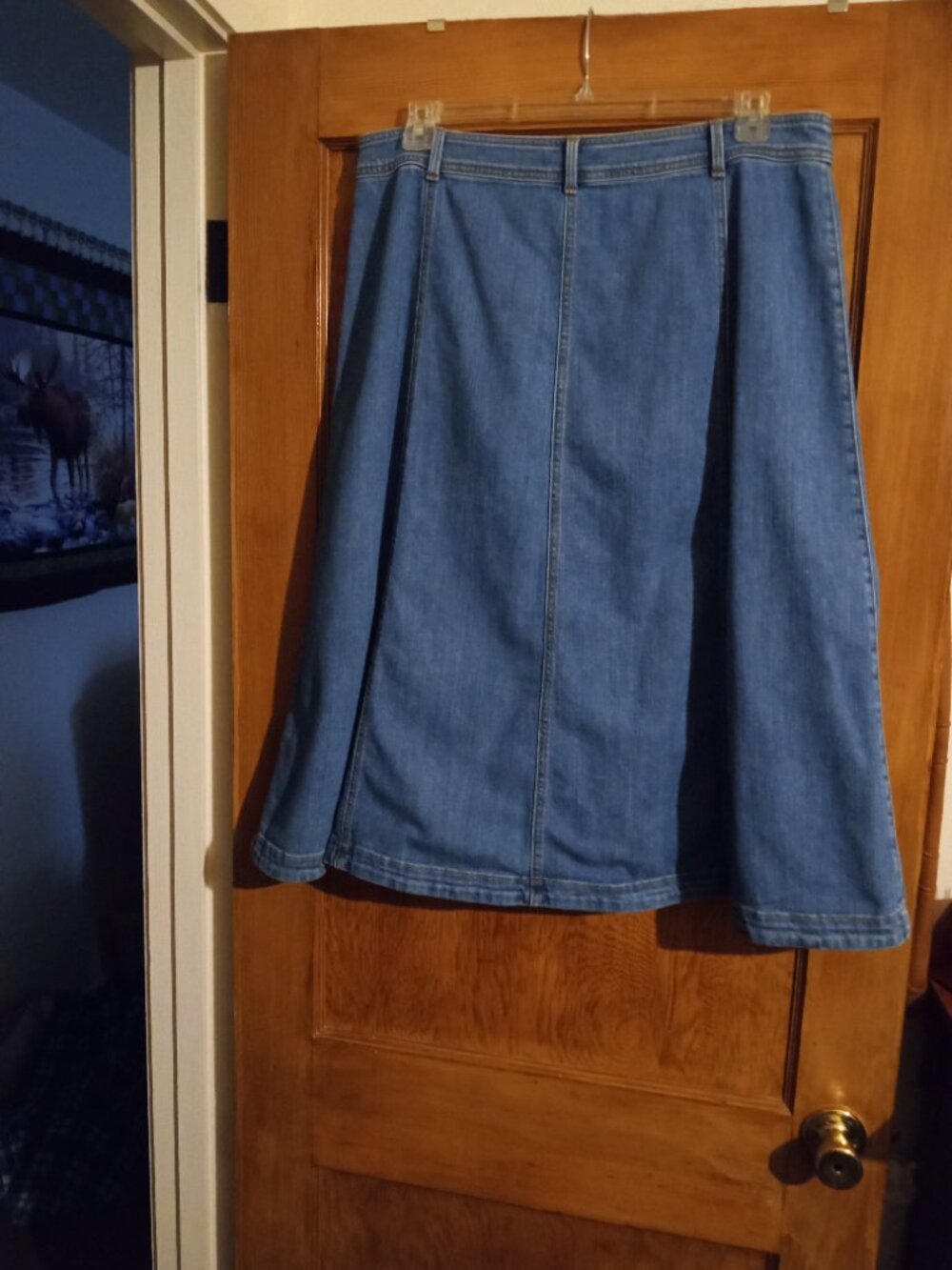 Talbots-Denim Panel Skirt - Picture 2 of 5